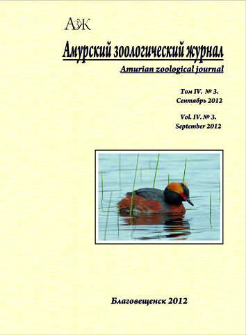 Обложка издания "Амурский зоологический журнал" (т. IV, № 3)