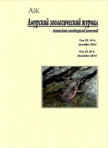 Обложка издания "Амурский зоологический журнал" (т. VI, № 4)