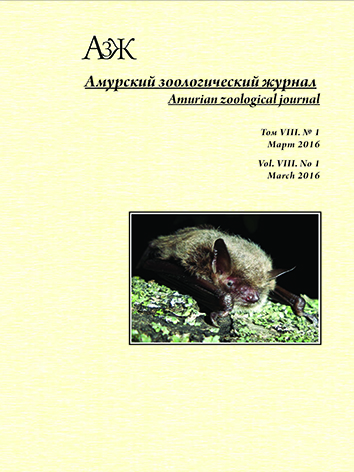 Обложка издания "Амурский зоологический журнал" (т. VIII, № 1)