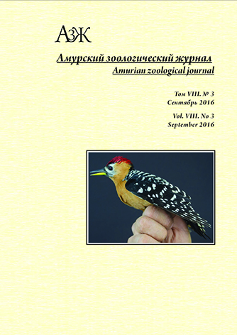 Обложка издания "Амурский зоологический журнал" (т. VIII, № 3)